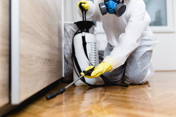 Best Rat Extermination Near Me  in Haverhill, MA