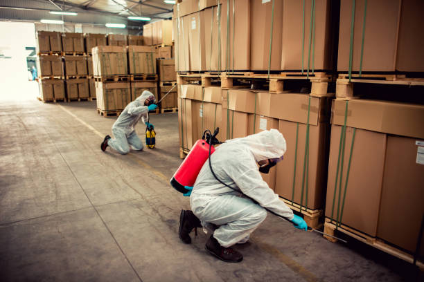 Best Affordable Exterminators  in Haverhill, MA