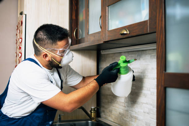 Best Mosquito Control Services  in Haverhill, MA
