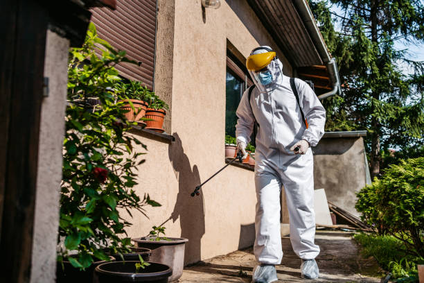 Best Insect Control  in Haverhill, MA