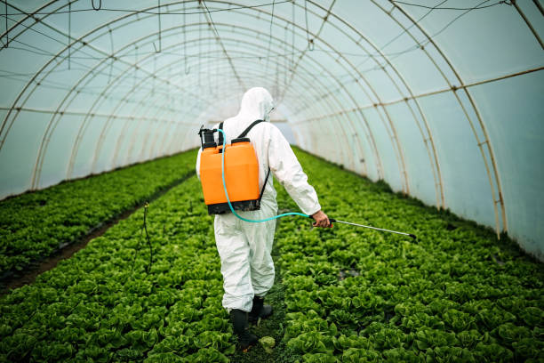 Best Pest Removal Services  in Haverhill, MA