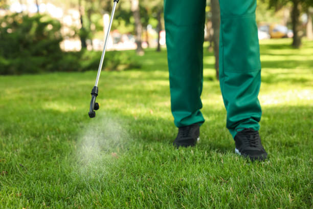 Best Affordable Pest Control Services  in Haverhill, MA