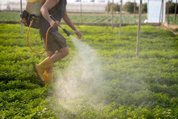 Best Commercial Pest Control Services  in Haverhill, MA