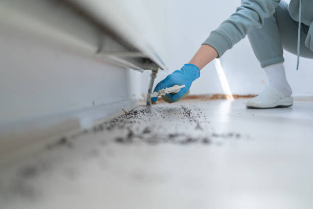 Best Wildlife Control Services  in Haverhill, MA
