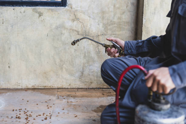 Best Residential Pest Control  in Haverhill, MA