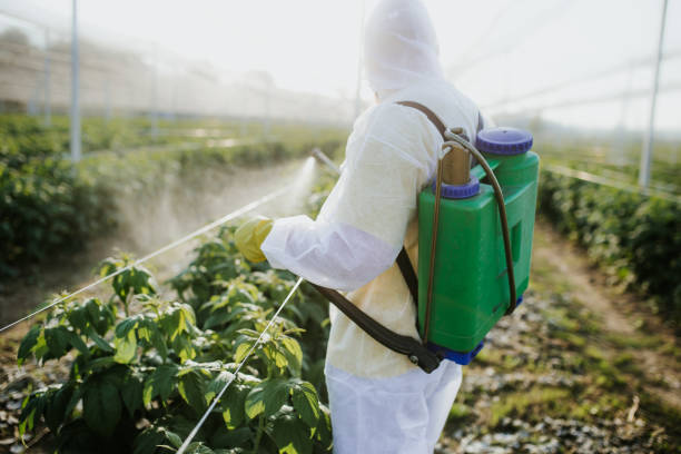 Best Pest Control Near Me  in Haverhill, MA